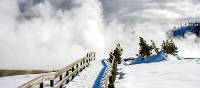 Blue skies overhead as we explore the beauty of Yellowstone National Park