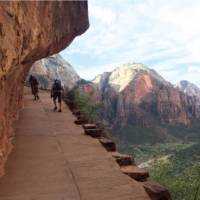 Trail carved into the side of cliff face in Zion National Park | Jake Hutchins