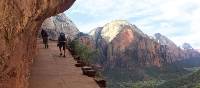 Trail carved into the side of cliff face in Zion National Park | Jake Hutchins