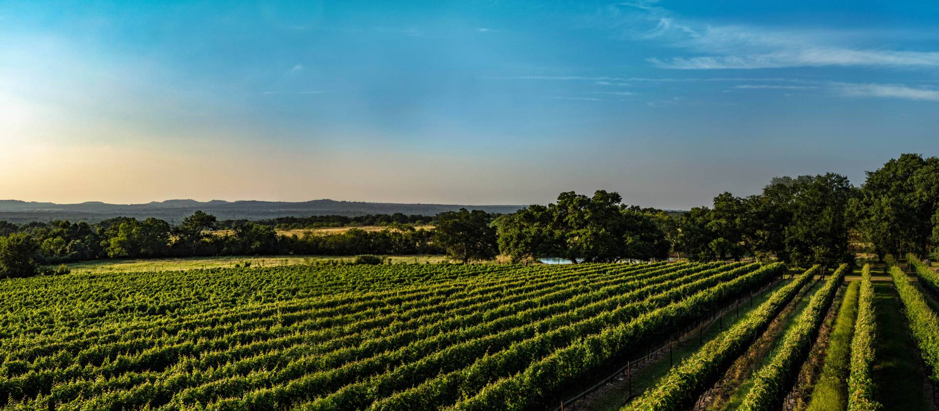 Texas Hill Country Cycle