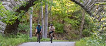 Acadia's Carriage Roads